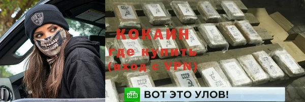 сатива Бородино