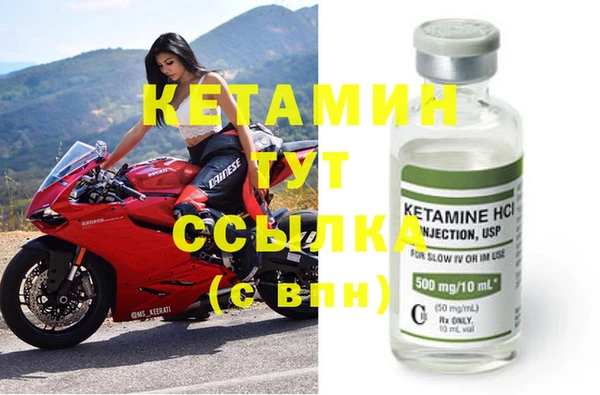 сатива Бородино