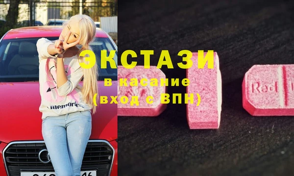 гидра Богданович