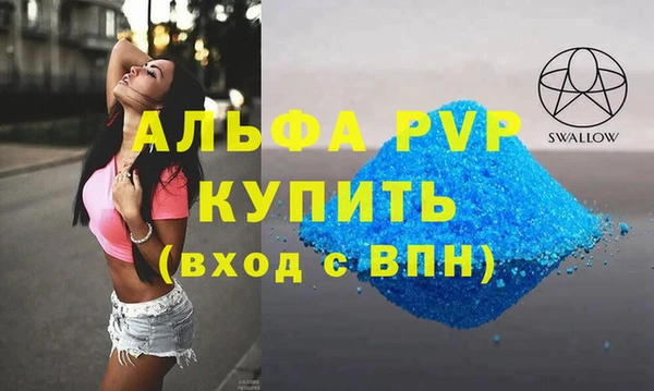 гидра Богданович