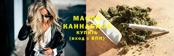 гидра Богданович